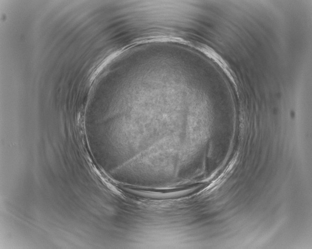 X0000058121385200510171259