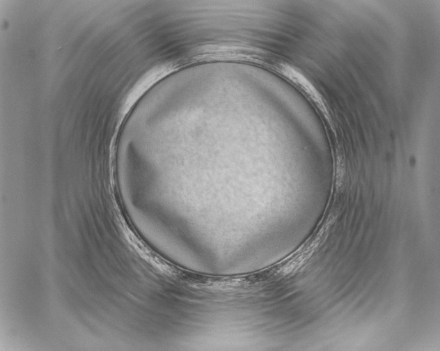 X0000058121386200510171259