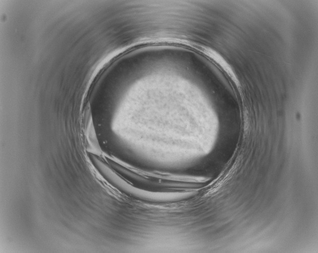 X0000058121388200510171259