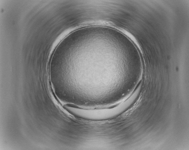 X0000058121389200510171259