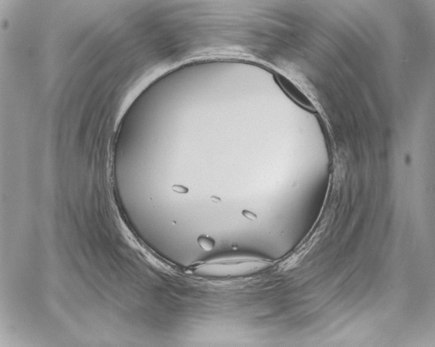 X0000058121390200510171259