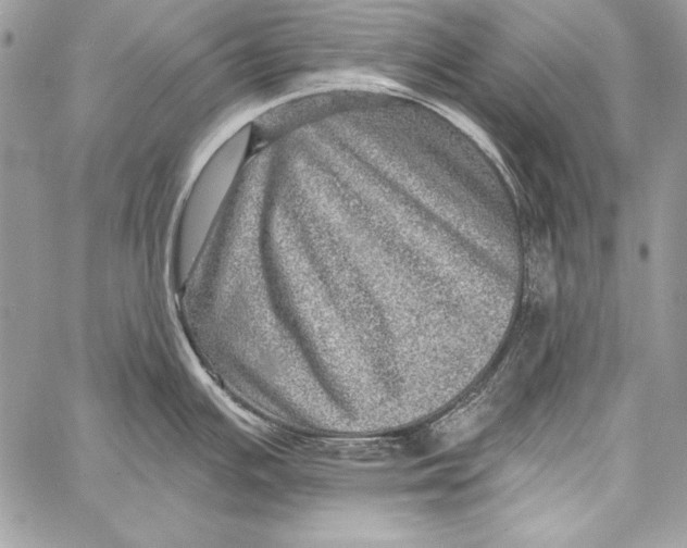 X0000058121391200510171259