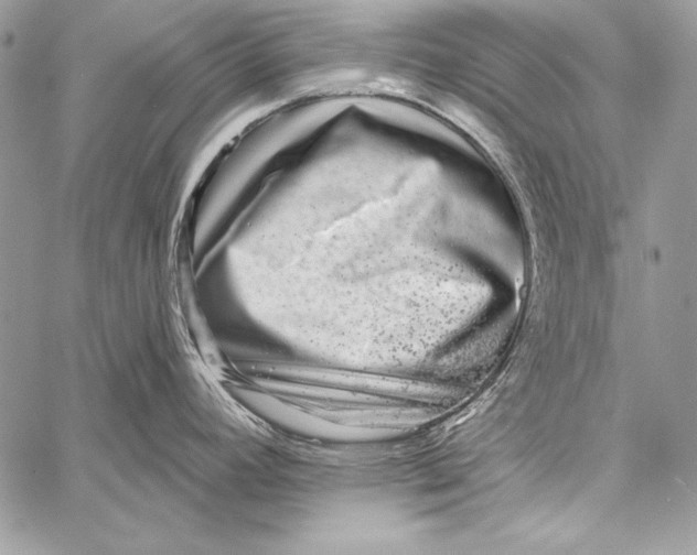 X0000058121392200510171259