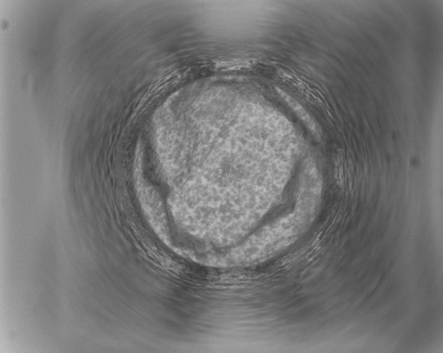 X0000058121393200510171258