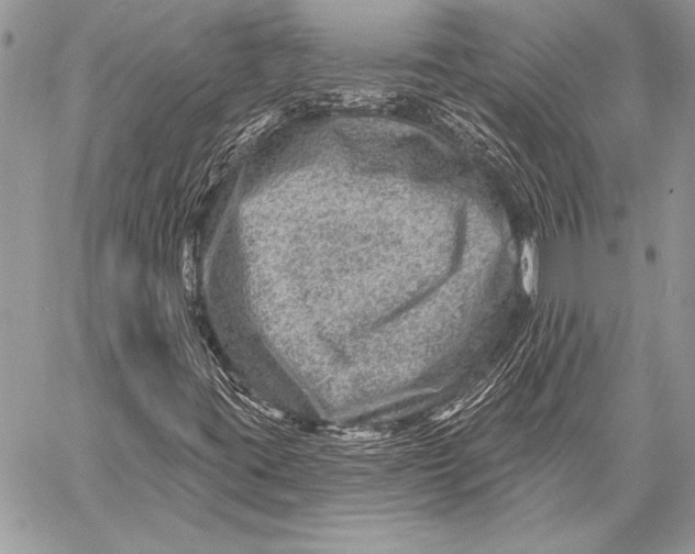 X0000058121395200510171258