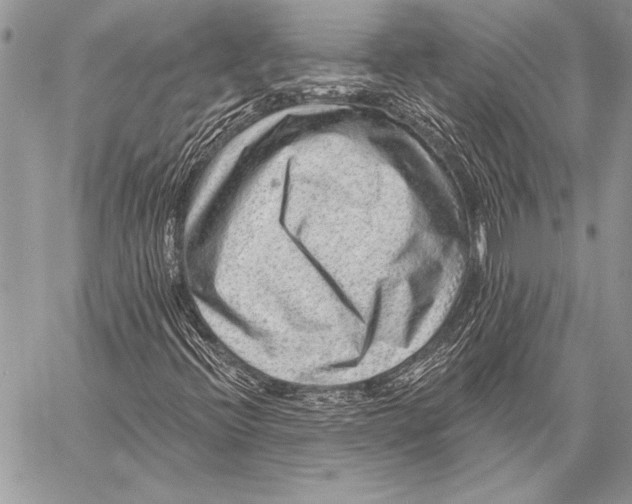 X0000058121396200510171258