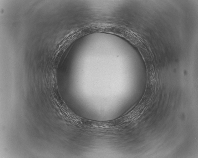 X0000058121397200510171258