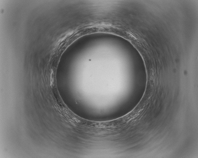 X0000058121398200510171258