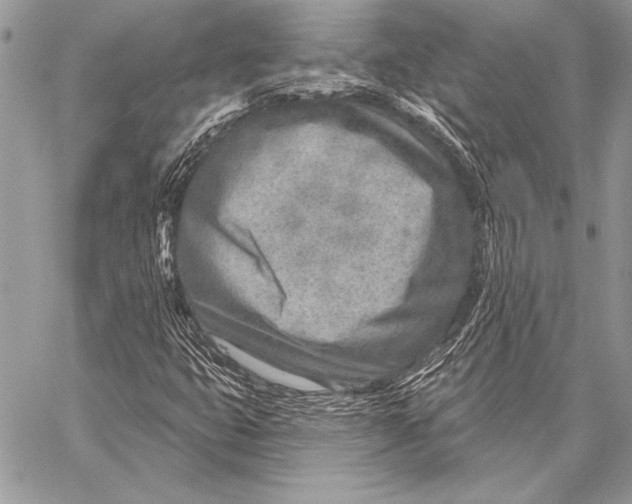 X0000058121399200510171258