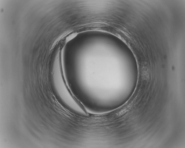 X0000058121402200510171258