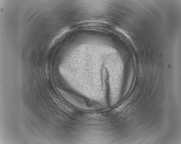 X0000058121403200510171258