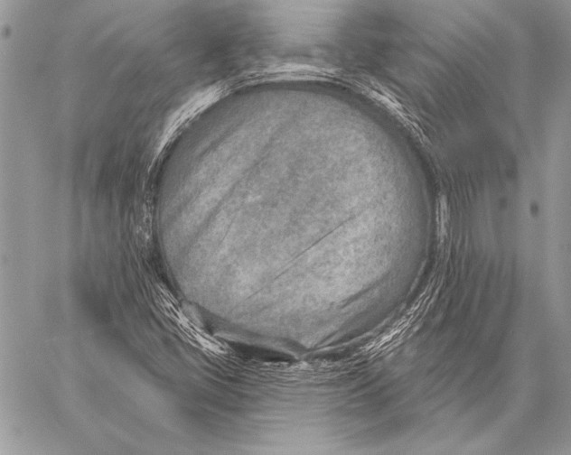 X0000058121405200510171258