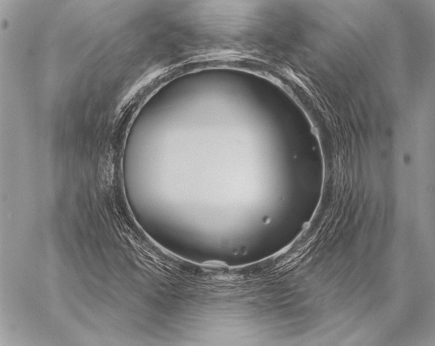 X0000058121406200510171258