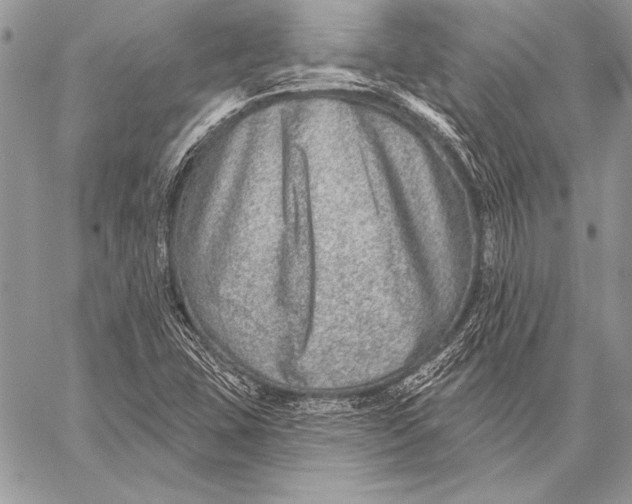 X0000058121407200510171258