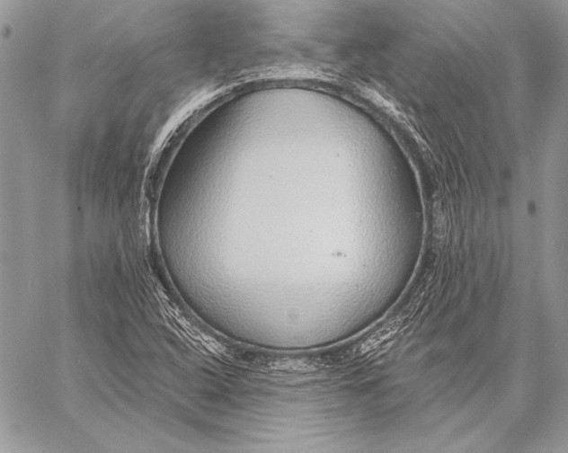 X0000058121408200510171258