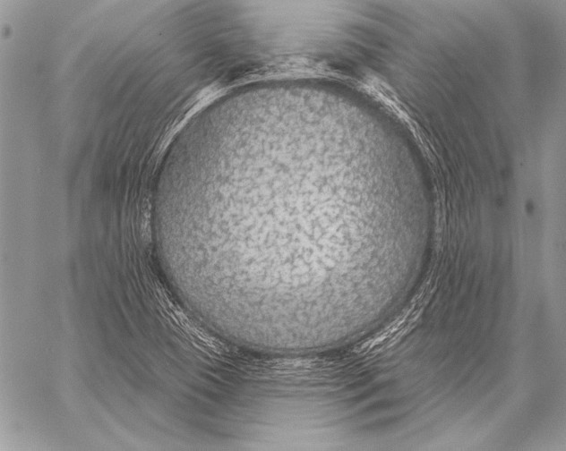 X0000058121409200510171258