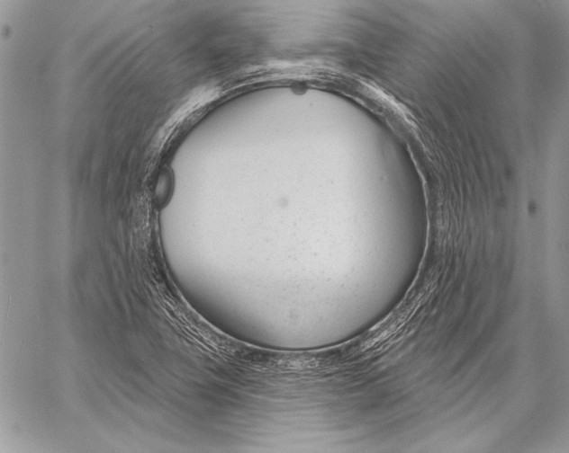 X0000058121411200510171258