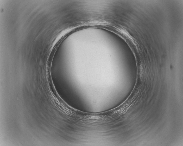 X0000058121412200510171258