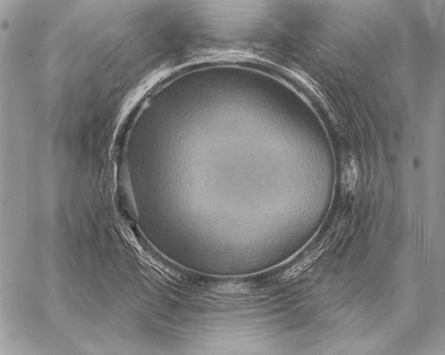 X0000058121414200510171258