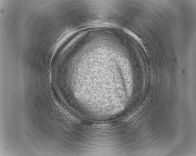 X0000058121415200510171258