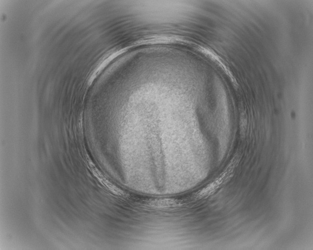 X0000058121417200510171258