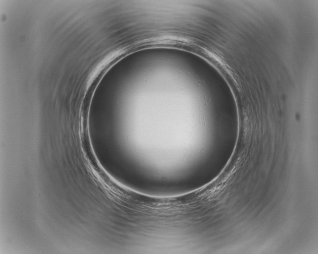 X0000058121418200510171258