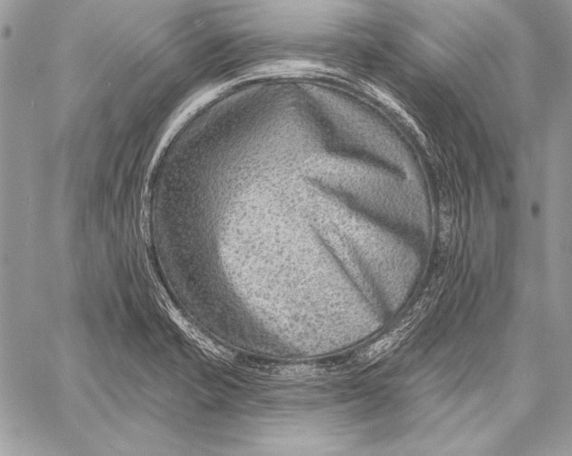 X0000058121421200510171258