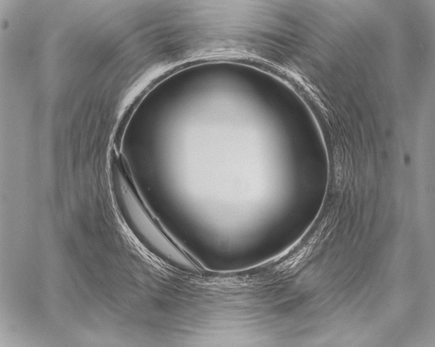 X0000058121422200510171258