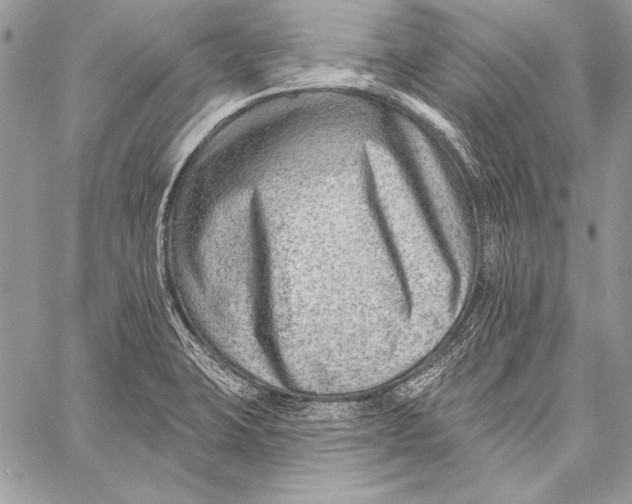 X0000058121423200510171258