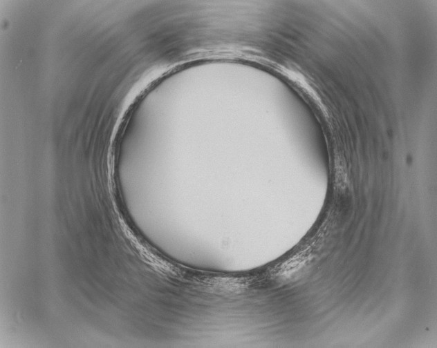 X0000058121424200510171258