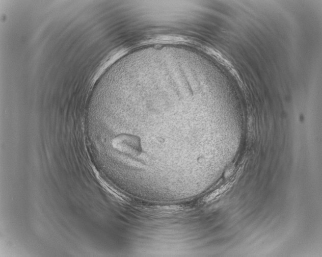 X0000058121425200510171258