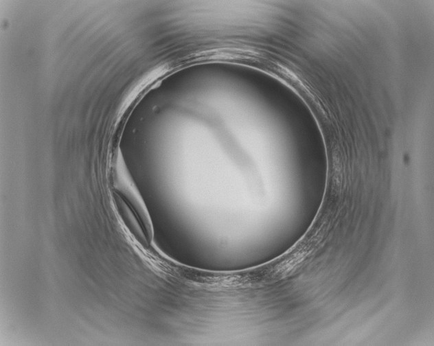 X0000058121426200510171258