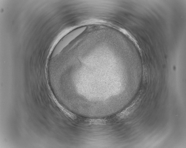 X0000058121429200510171259