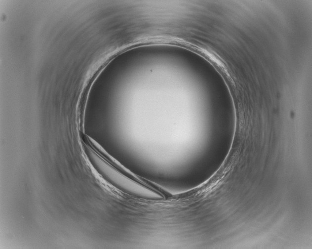 X0000058121430200510171259