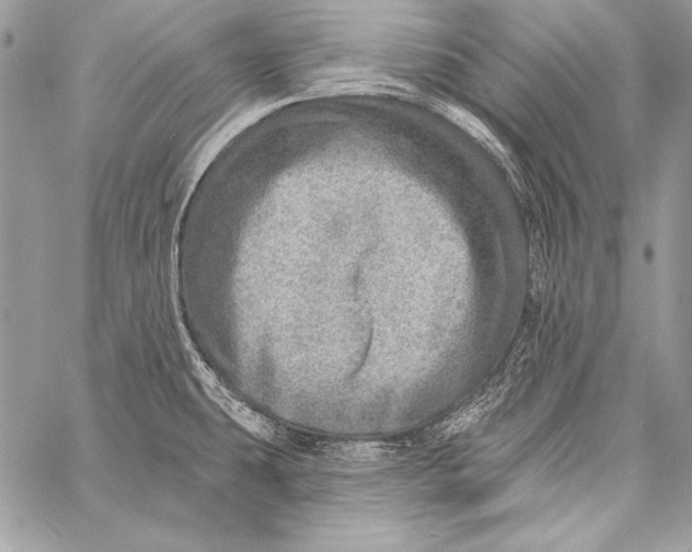 X0000058121431200510171259