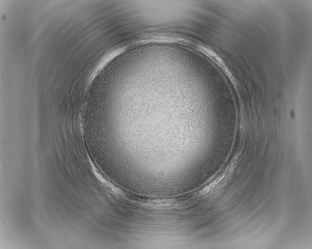 X0000058121433200510171259