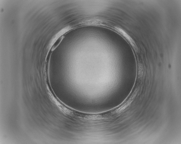 X0000058121434200510171259