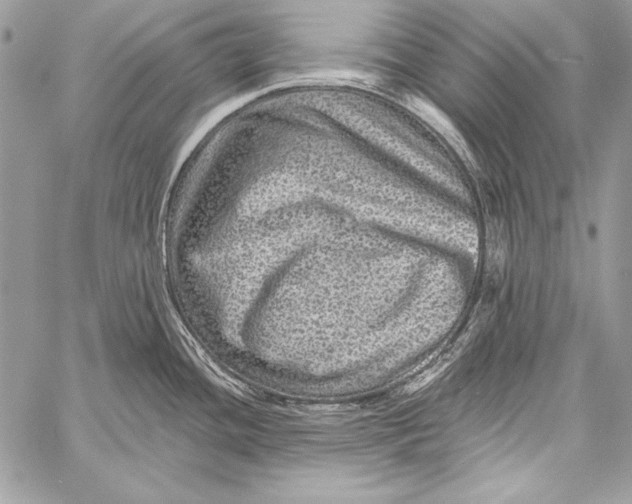 X0000058121436200510171259