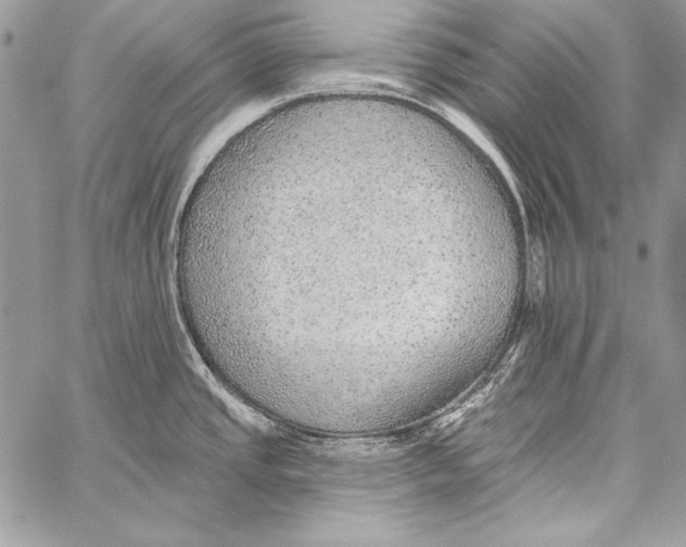 X0000058121437200510171259