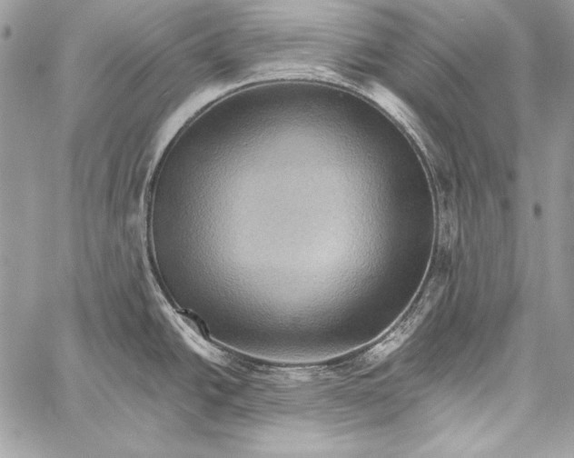 X0000058121438200510171259