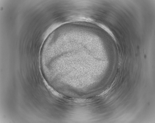 X0000058121439200510171259