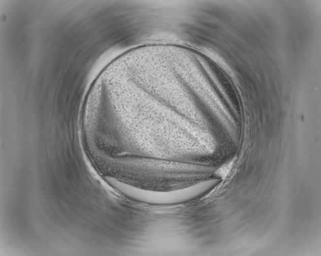 X0000058121440200510171259