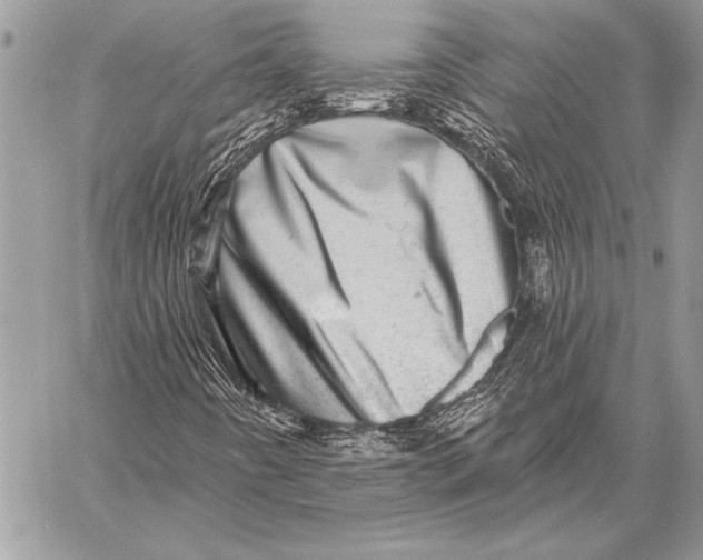 X0000058121442200510171258