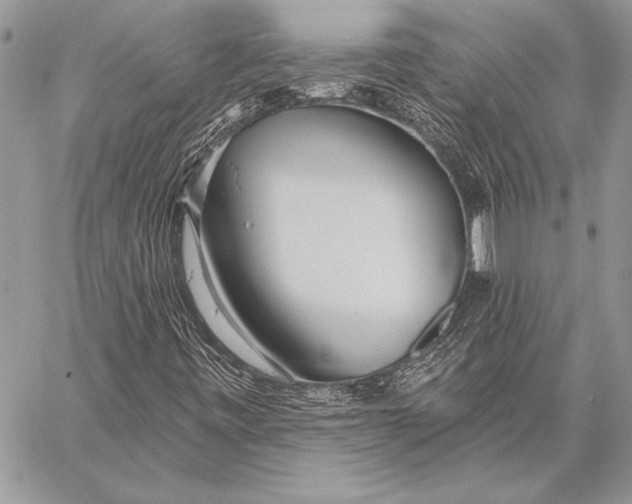 X0000058121443200510171258