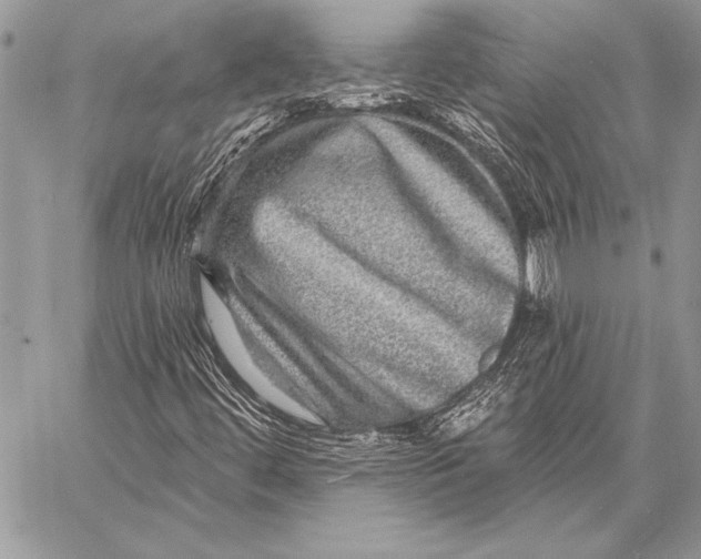 X0000058121444200510171258