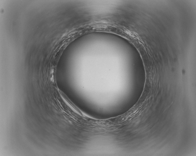 X0000058121445200510171258