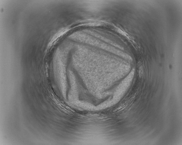 X0000058121448200510171258