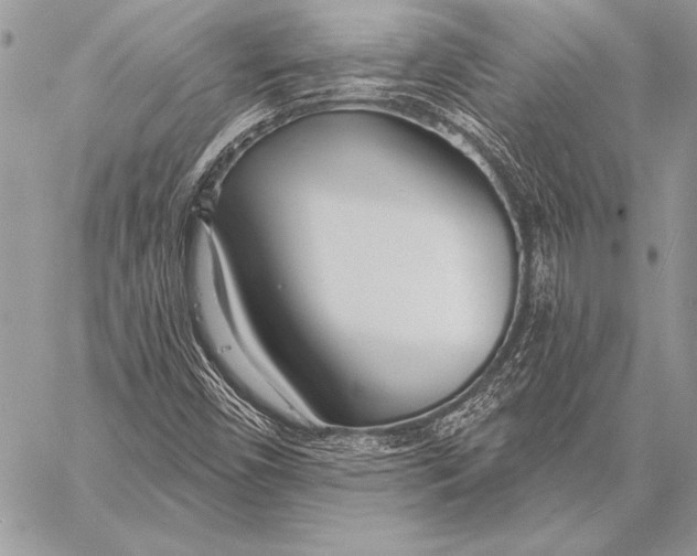 X0000058121450200510171258