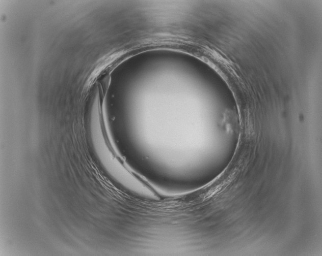 X0000058121453200510171258