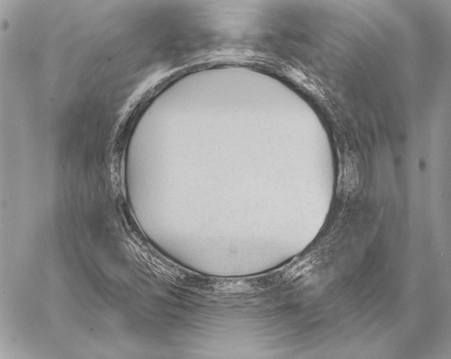 X0000058121454200510171258